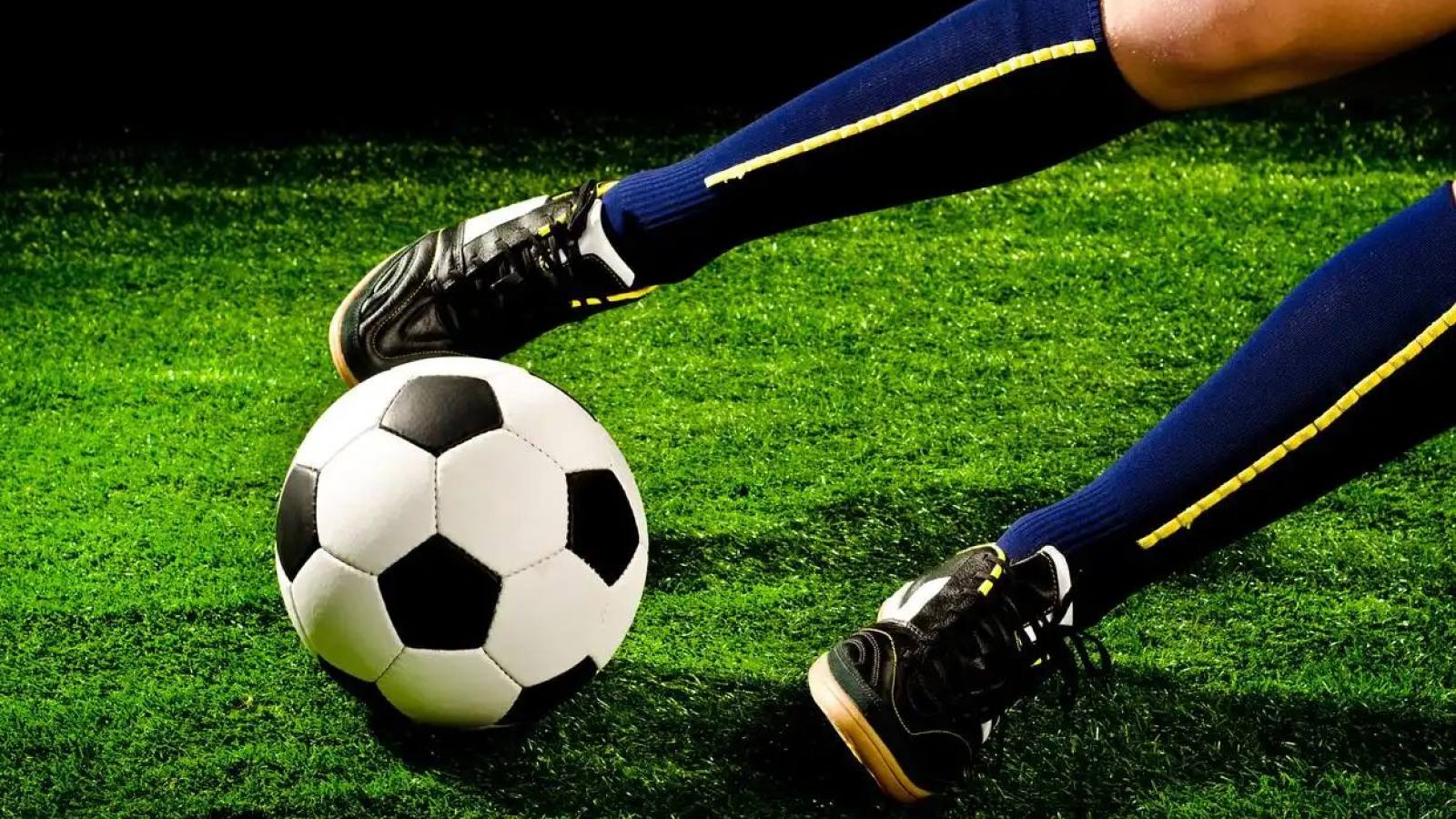 Bwin 必赢 体育快报资讯解读